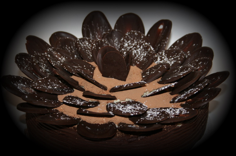 Tiramisu - Ine's Cakes | Eugene Bakery